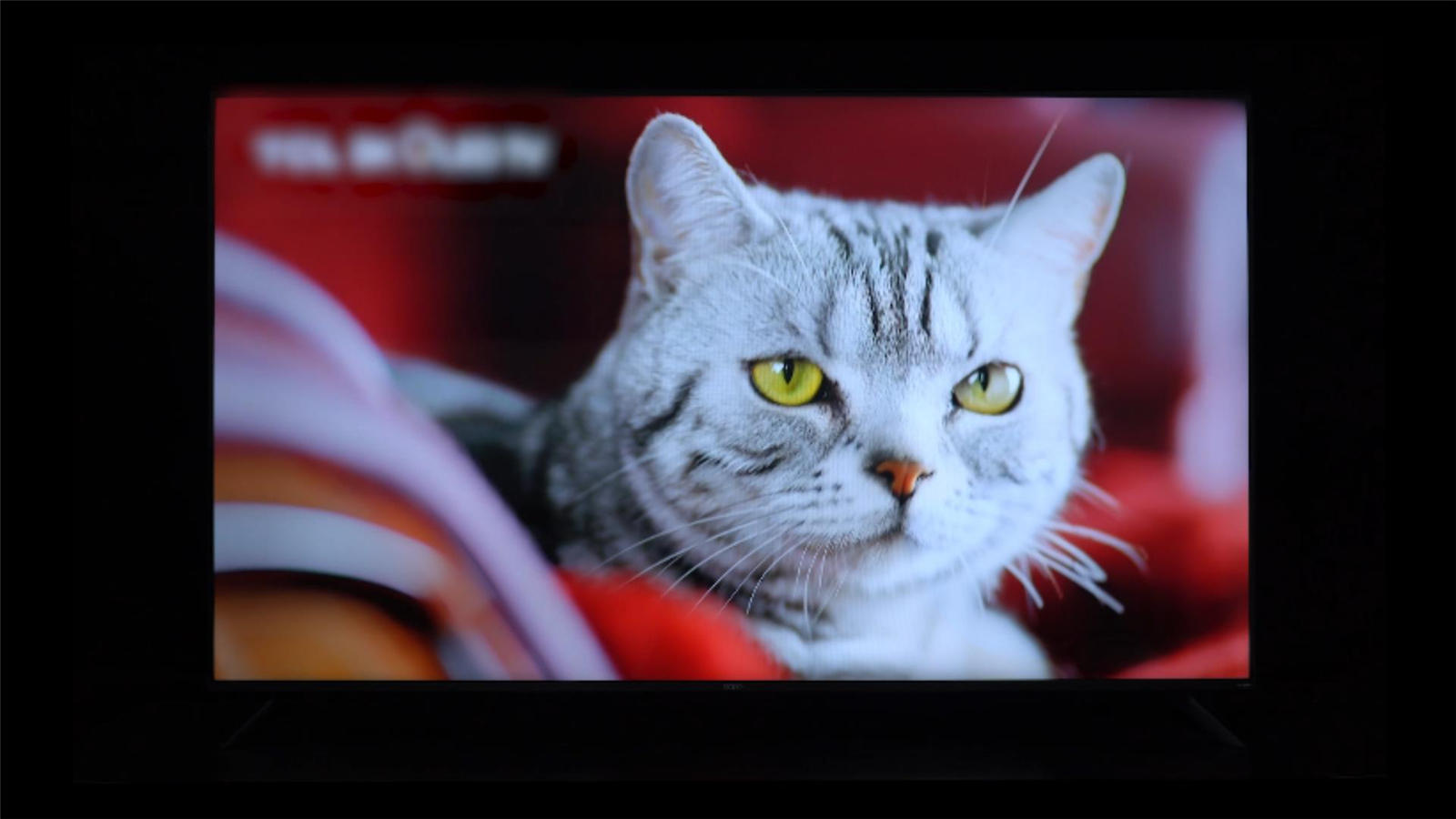 oppok965寸电视机测评,oppok955寸电视全面测评