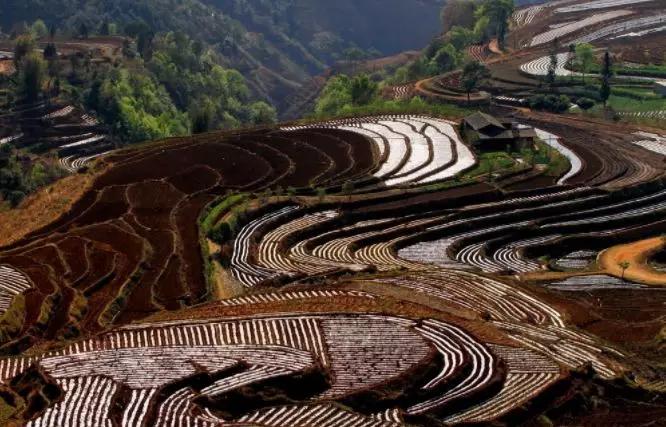 成都怎么过冬的,成都人冬天喜欢去哪过冬