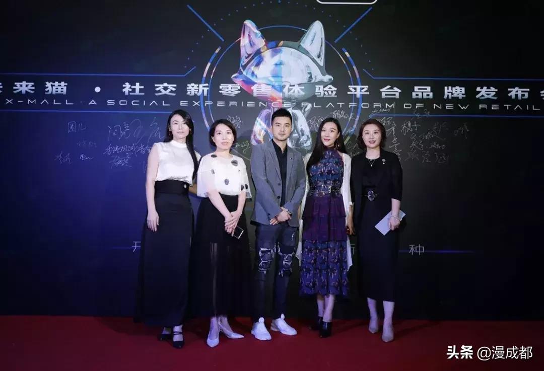 未来猫是什么品种,未来猫简介