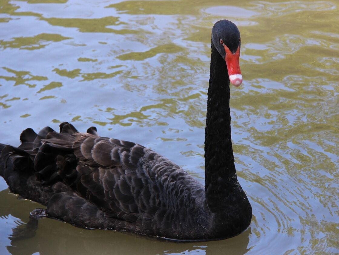 秒懂财经股票知识,秒懂的股票知识