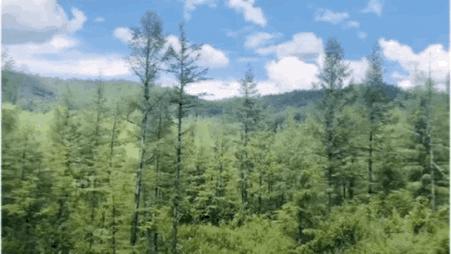 暑假带孩子内蒙古旅游攻略,暑期内蒙古亲子游鄂尔多斯