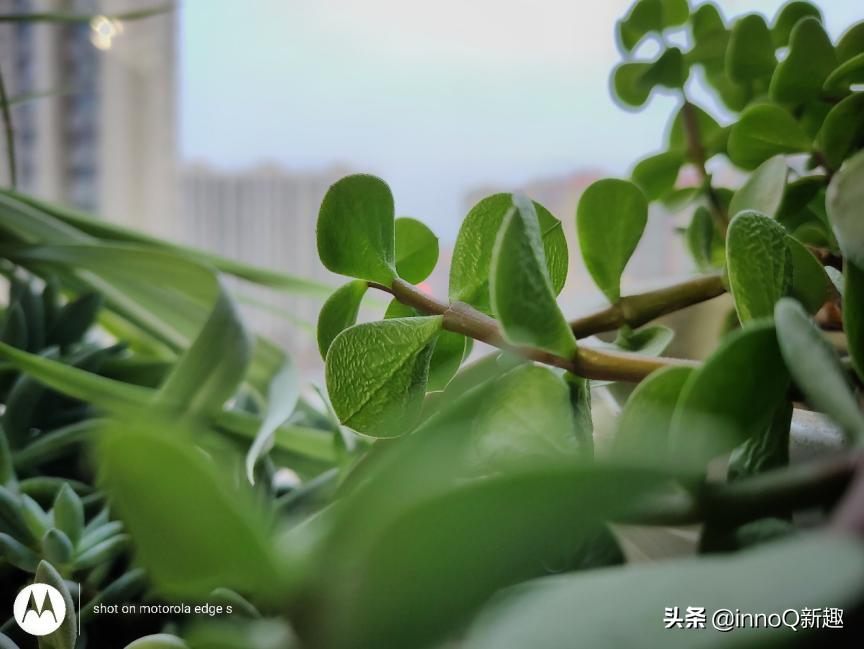 motorolaedges换屏,motorolaedges简单入手体验