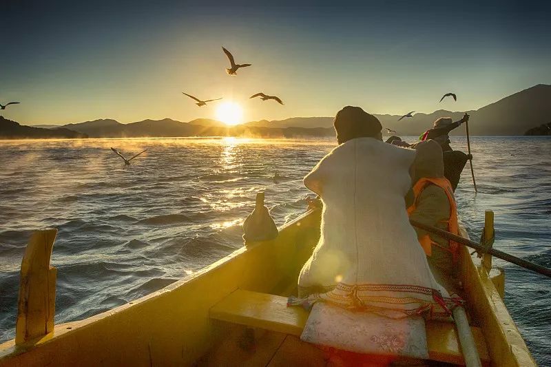 谁毁了丽江的印象？小镇“挂羊头卖狗肉”，雪山附近酒楼一天几千