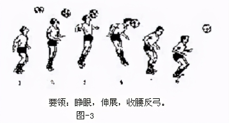 体育教学挂图动作图解,体育课动作教学