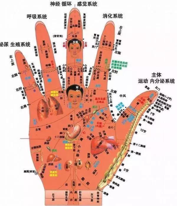 才买的文玩核桃怎样更快盘出包浆,文玩核桃出包浆以后怎么盘玩