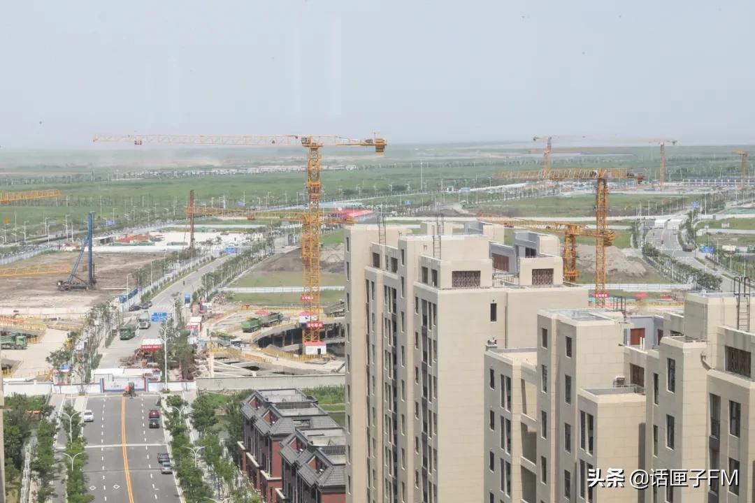 园区企业的成功，就是我们最大的成功！临港集团：当好新片区开发建设主力军、重点区域转型发展生力军