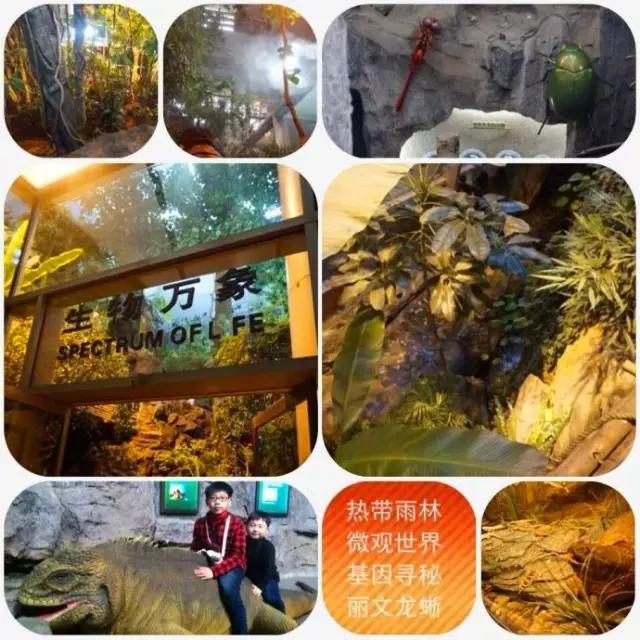 世界十大博物馆埃及博物馆,世界十大博物馆失窃案视频