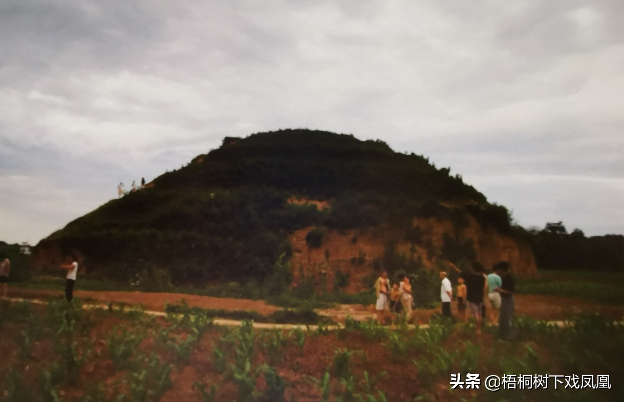 真实盗墓破案,盗墓细节太真实被抓获