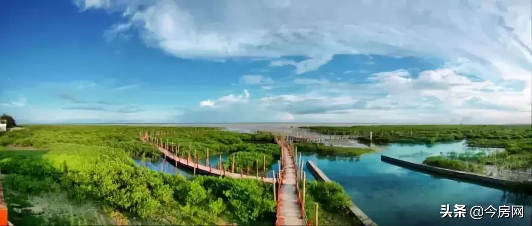 中国生态宜居后花园—北海！候鸟族眼中的“人居天堂”