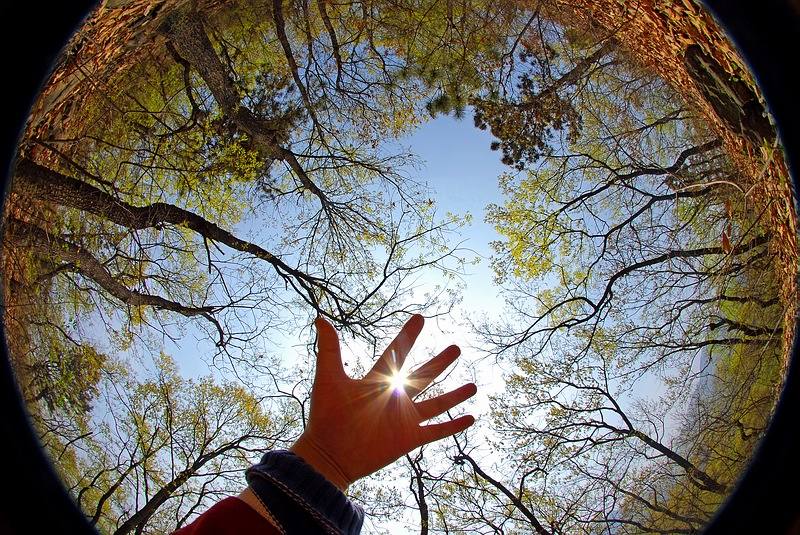 我该如何拯救我的爸爸,我该怎样拯救你我的爱人