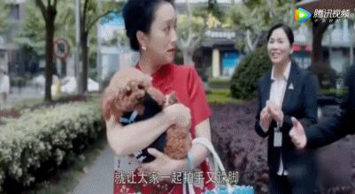 6.2分的《安家》冤不冤？听听真·中介怎么说