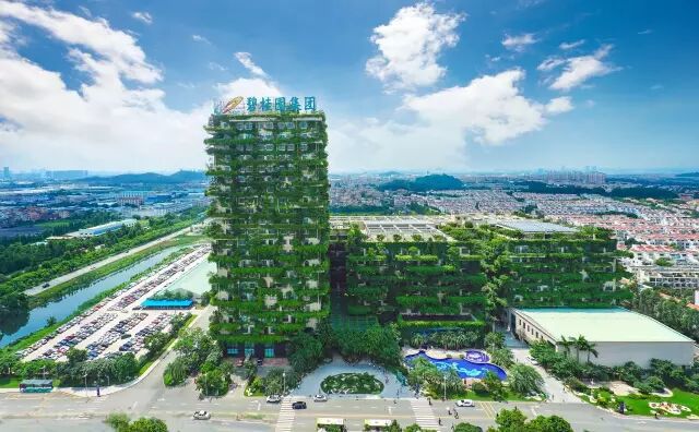 上海人眼中的顺德,全国人对顺德的评价