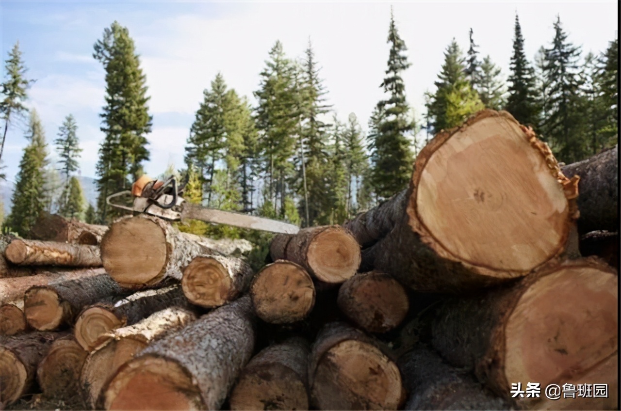 用溴甲烷熏蒸地多长时间效果最佳,溴甲烷熏蒸什么时候取消