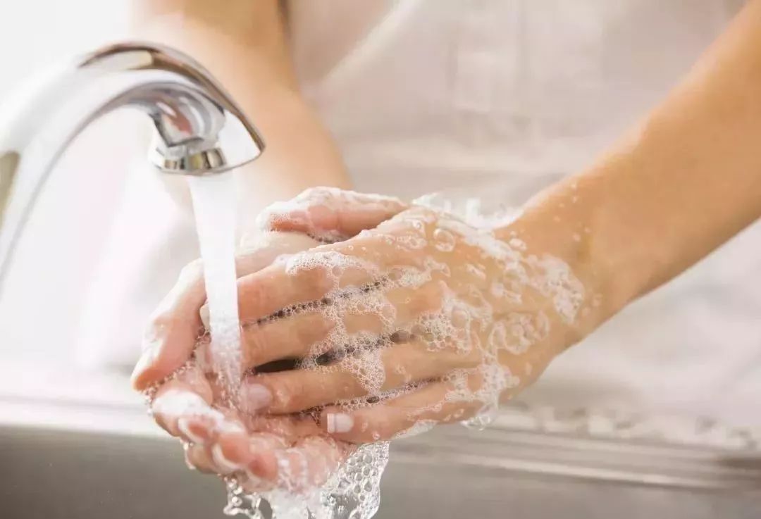 猫抓狗咬疫苗怎么处理,猫抓狗咬后怎么正确的处理