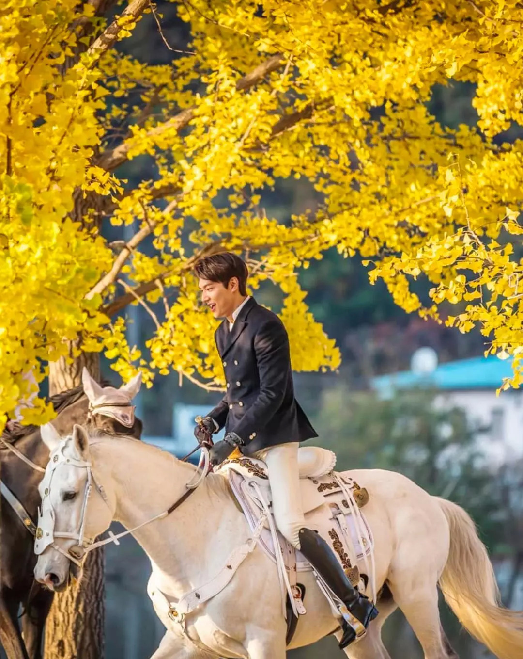 他要回归啦！韩剧扛把子、长腿欧巴始祖，还公开承认看过小电影