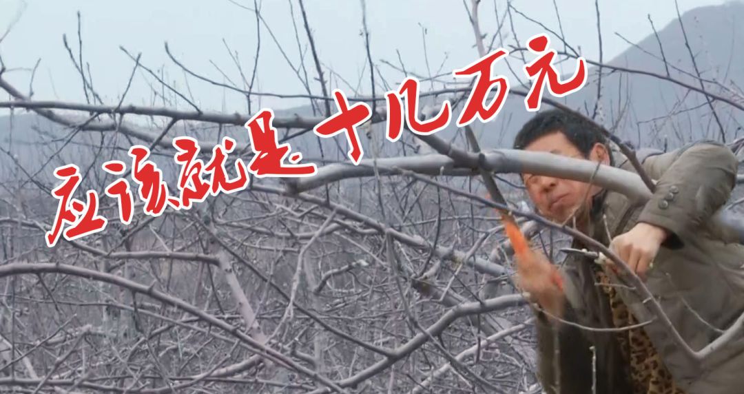 铜川印台脱贫攻坚,铜川印台区脱贫户