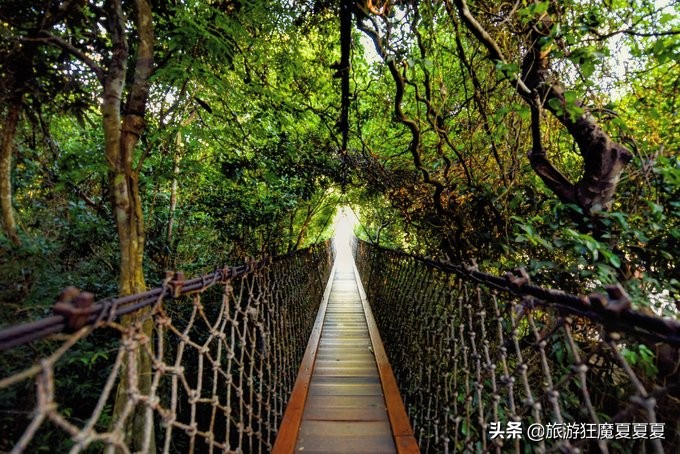 三亚亚龙湾热带雨林美景,在三亚感受亚龙湾的惬意