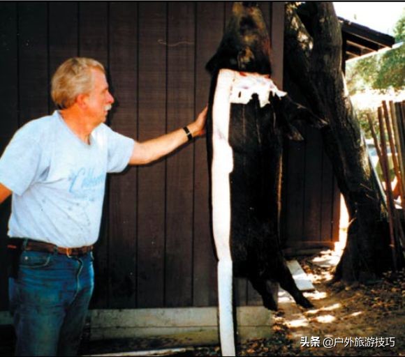 鍥藉鐙╃寧閲庣尓,缇庡浗鎹曠寧閲庣尓
