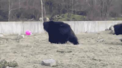 把中间的门店租下来取什么名字好,租下门面不知道取什么名字