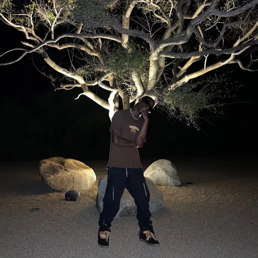 浪凡属于红血档次吗,李宁国潮和李宁品牌有什么区别