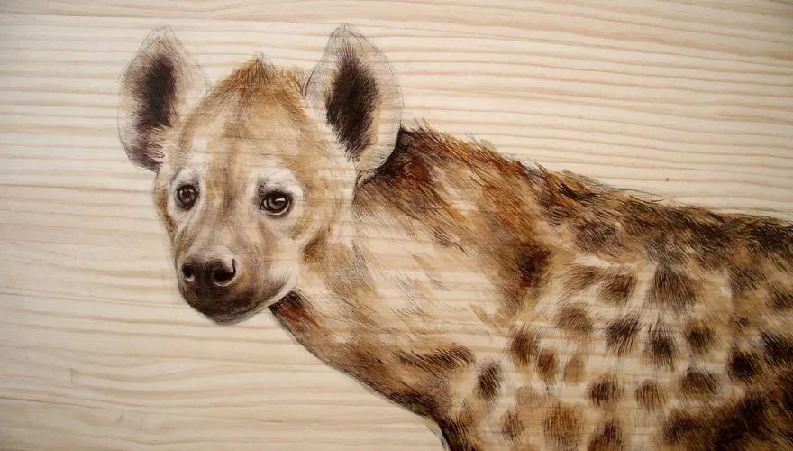 3d立体画写实彩铅,超写实彩铅手绘细腻的让人咋舌