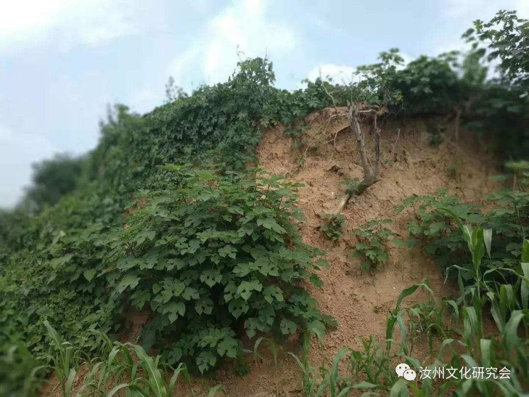 “观音菩萨”岀生在汝州宝丰县,还有岀家地、得道地、埋葬地?