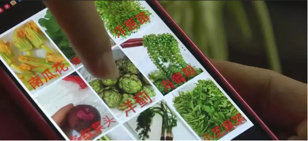 菜市场卖菜的利润大概多少,菜市场卖菜一年能赚多少钱