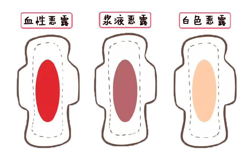 产后怎么确定来大姨妈了,产后妈妈多久有奶