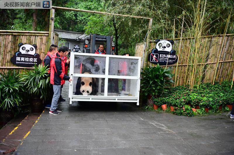 时政新闻眼｜习*平近**访俄首日，这些亮点点亮中俄关系新时代