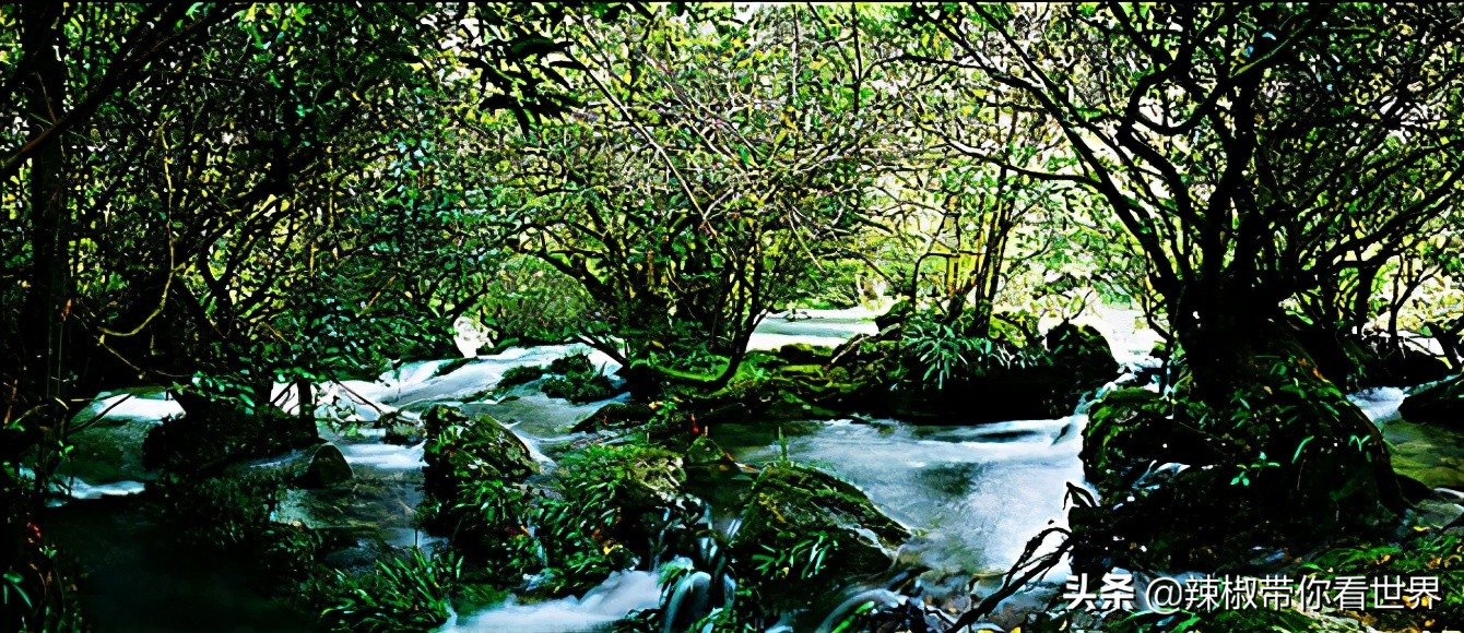 从西到东：贵州——沿河流“黔”行在这里一万种辣椒吃法向你奔来