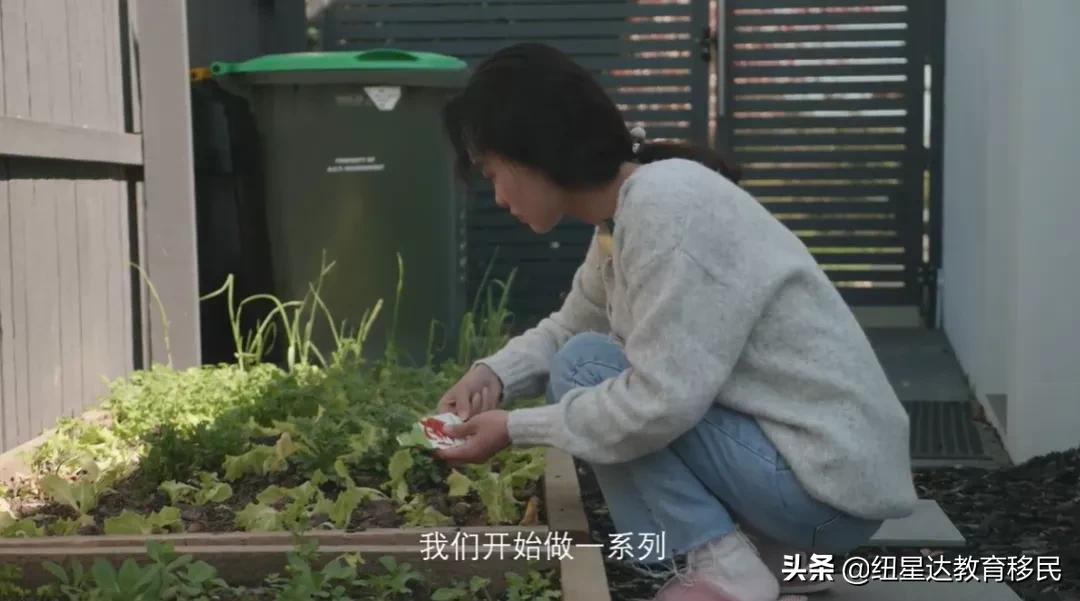 放下国内不错的生活挺好的工作，一路乘风破浪到堪培拉安家