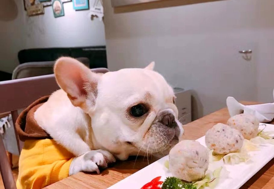 法斗犬怎样防少掉毛,法斗犬的体臭怎么去除