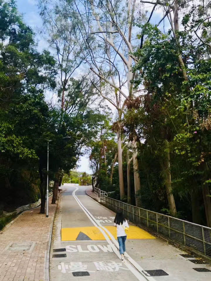 去香港中文大学攻略,香港留学游玩攻略大全