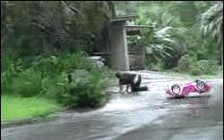 a站b站和d站有什么区别,最近说的a站b站啥意思