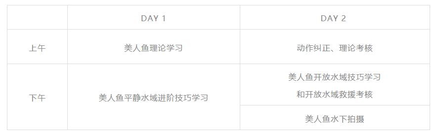只要你愿意，就能圆你一个人鱼公主梦|美人鱼系列课程