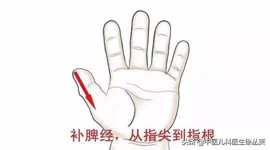 长期积食的孩子如何调理脾胃,小孩积食怎么调理脾胃最快最有效