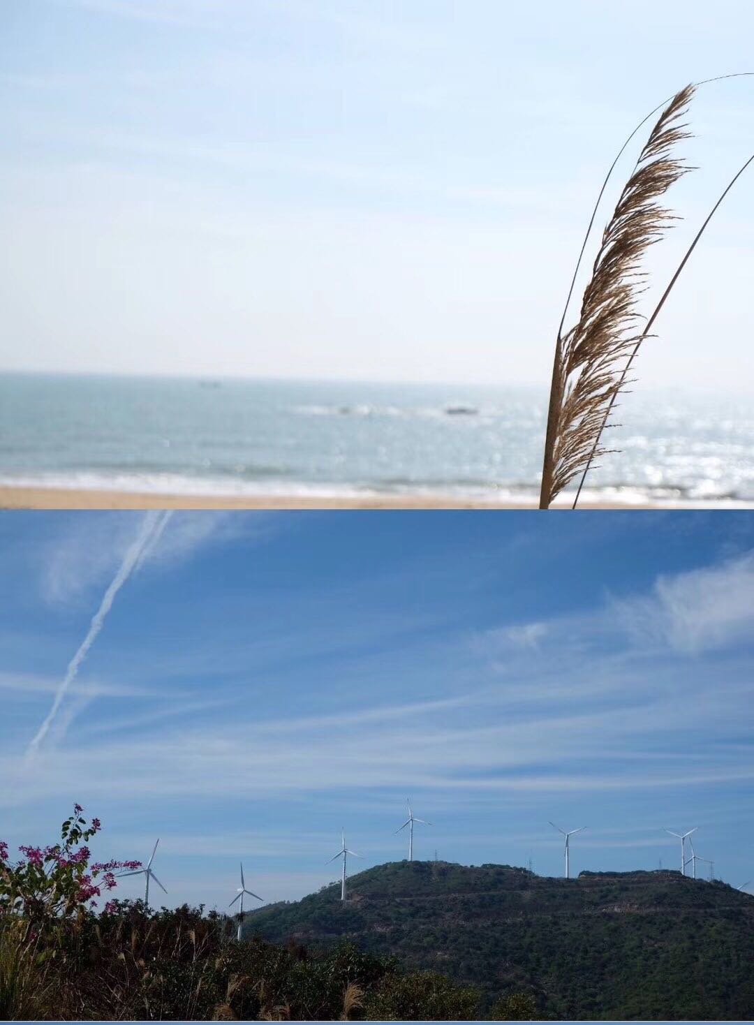 海陵岛闸坡渔港,海陵岛闸坡世界级渔港码头