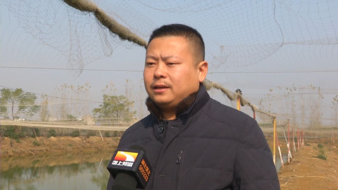 创富新发现:体质强健生长快,台湾泥鳅效益红火