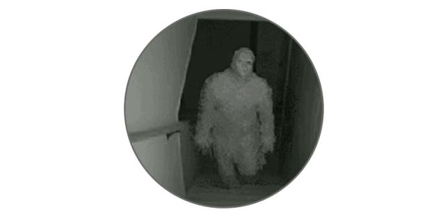 香港office是什么,香港恐怖电影office有鬼