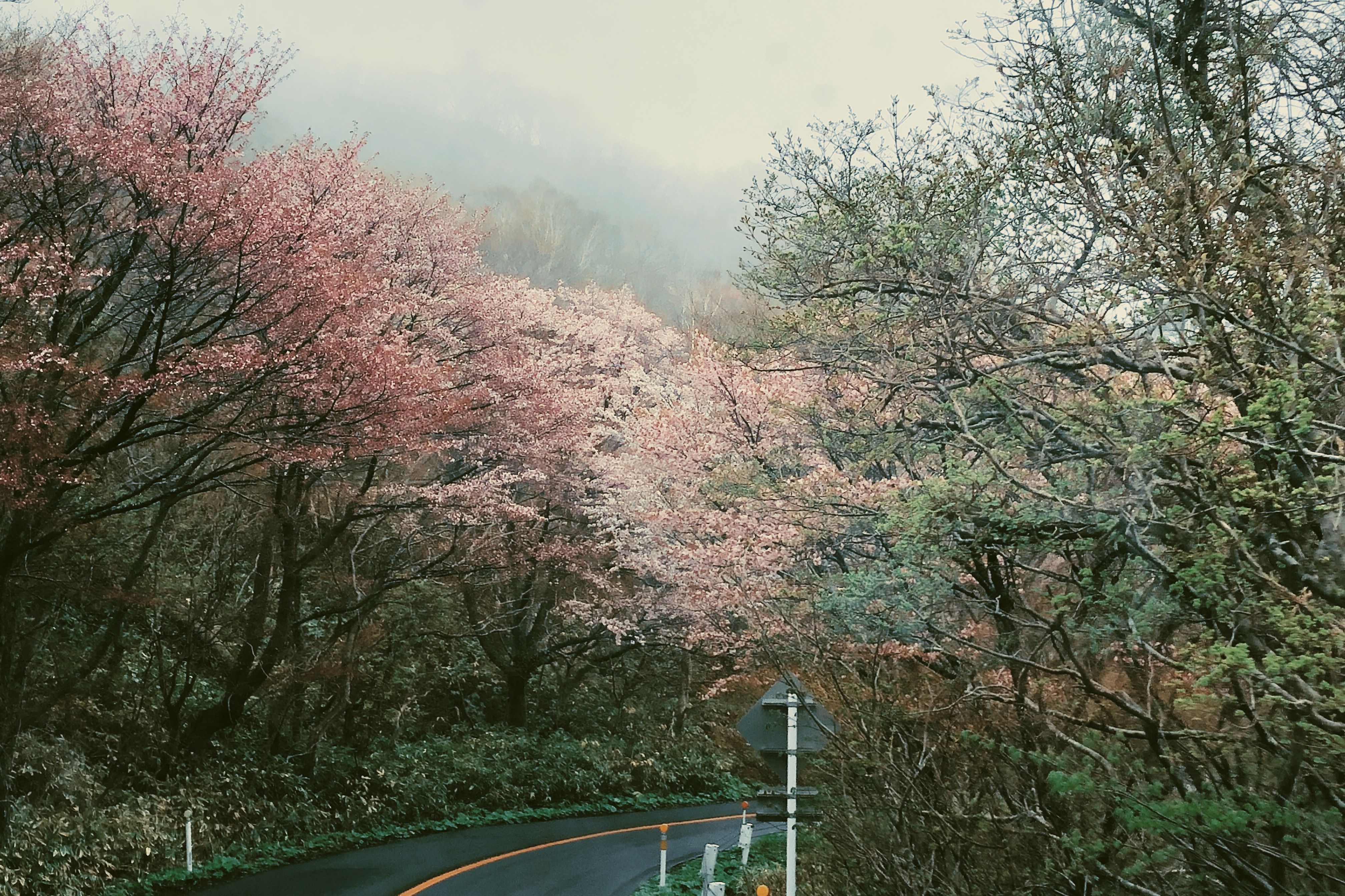 和老人小孩一起旅游,八天七晚豪华游轮旅游