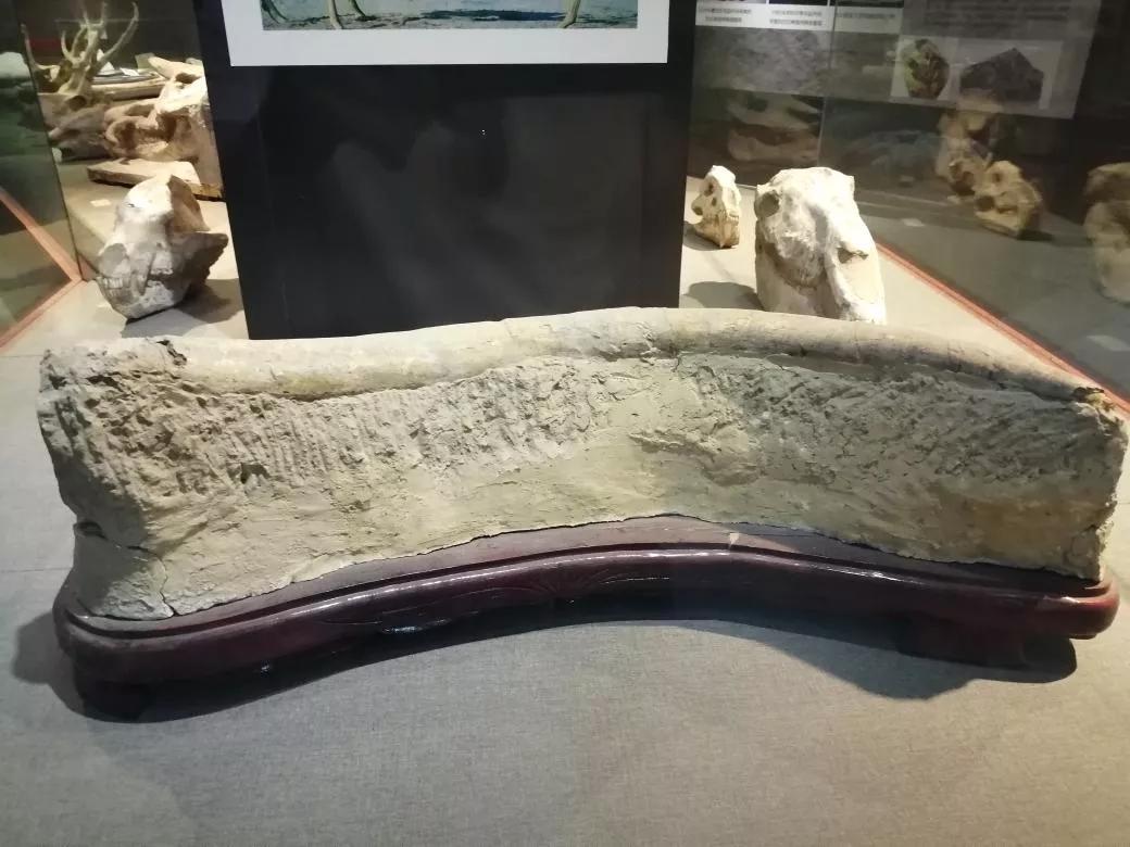 去天津蓟州旅游攻略,跟着书本去旅行蓟州