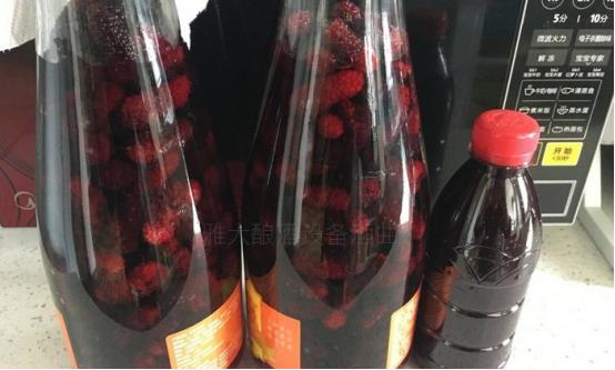 受疫情影响桑葚无人问津,雅大烤酒设备教您足不出户酿美酒