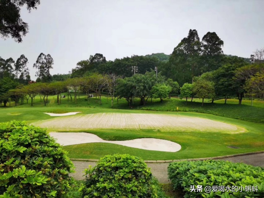 高尔夫球规则及玩法,4分钟了解高尔夫球怎么玩