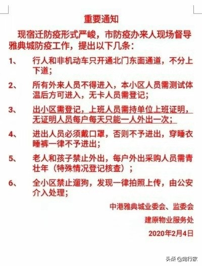 外出遛狗狗狗上厕所怎么办,狗在家定点上厕所可以不遛吗