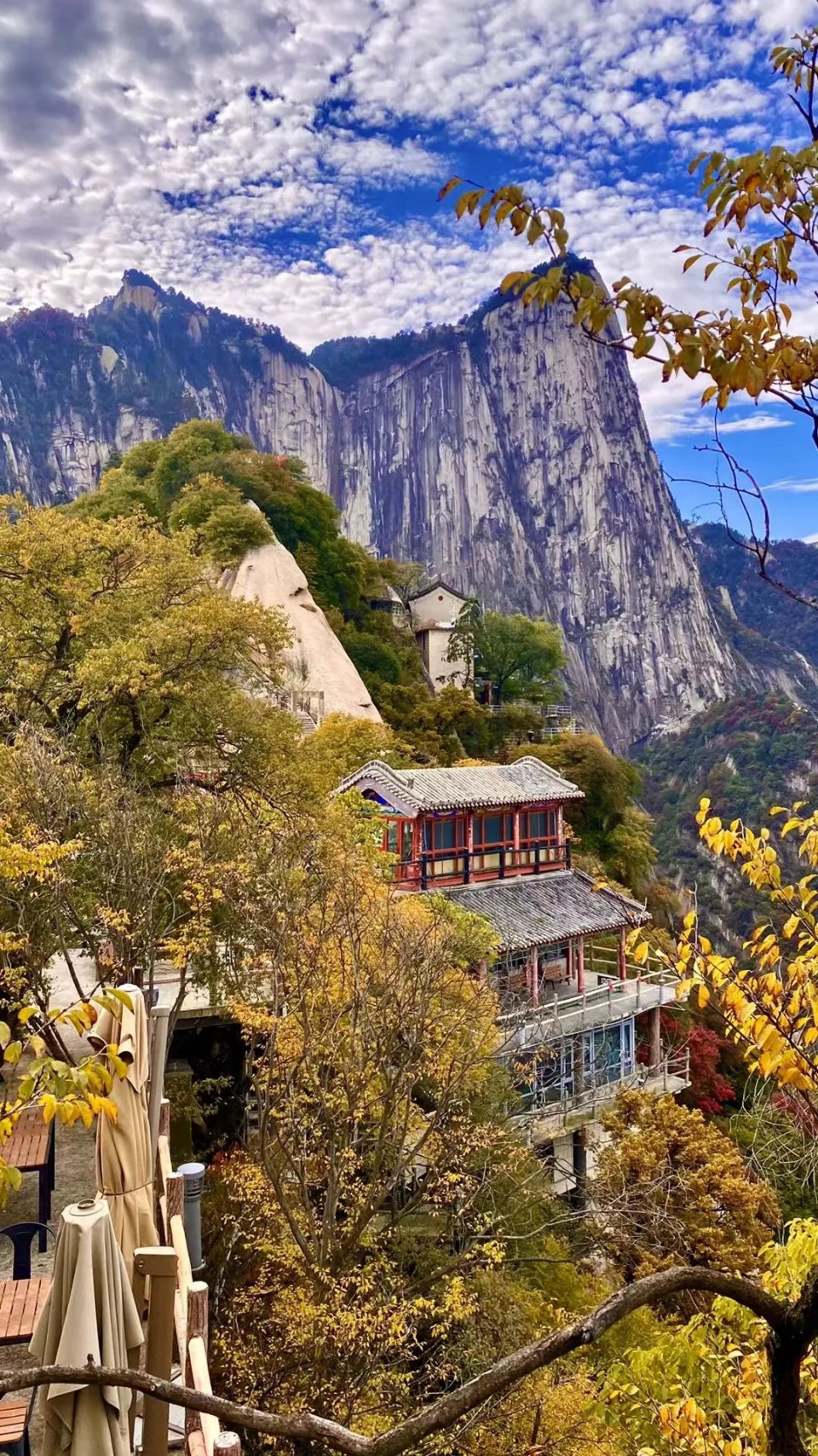 直播丨侠动北峰，一叶知秋