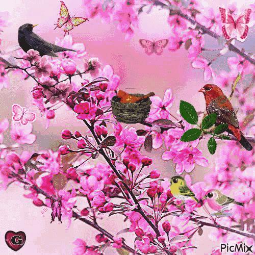 我的家庭相册视频教程,我的家庭相册细节