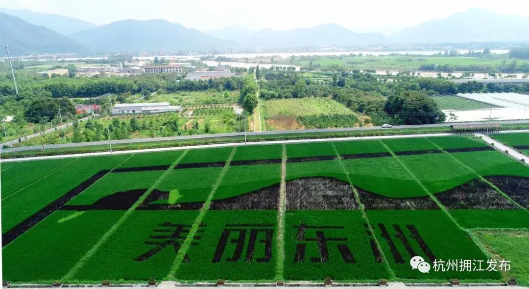 钱塘江出现巨幅画作,钱塘江大潮图片绘画