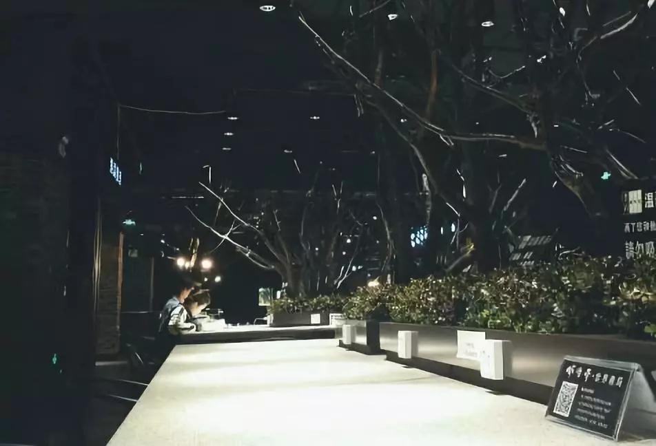 蓝花楹昆明网红打卡地在哪里,昆明周边湿地公园网红打卡地