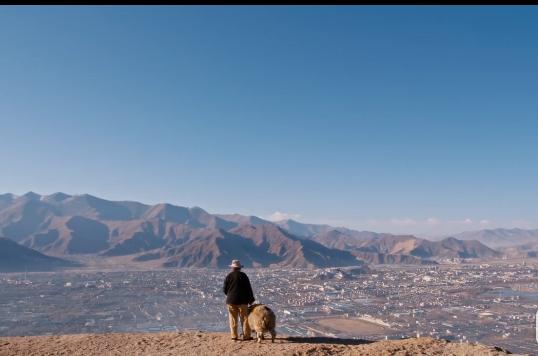 “第三极”*藏西**：最普通的人和事，最不普通的人与自然和谐相处
