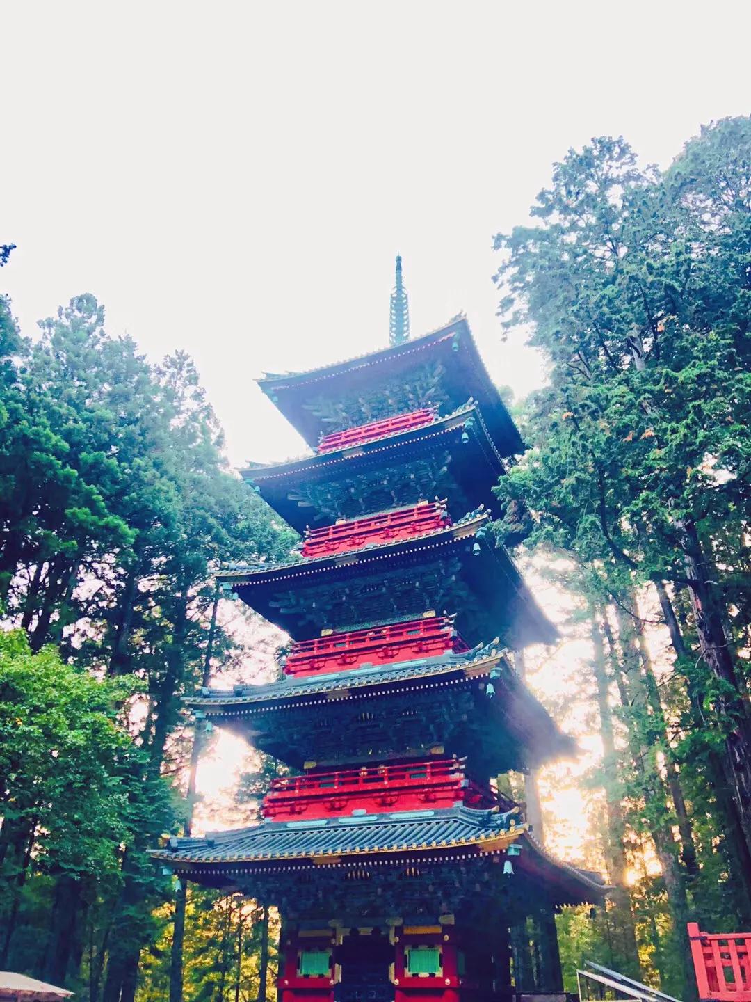 出国留学必考的证书,日语考级级别有哪些